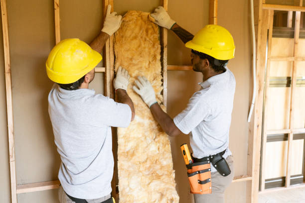 Professional Insulation in Halawa, HI